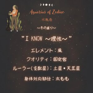 水瓶座の性格を占星術視点からの性質や特徴から読み解こう