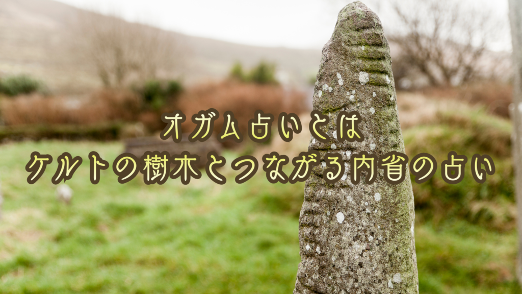 オガム占いとは｜ケルトの樹木とつながる内省の占い